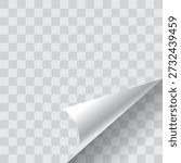 Paper curled mockup design on transparent