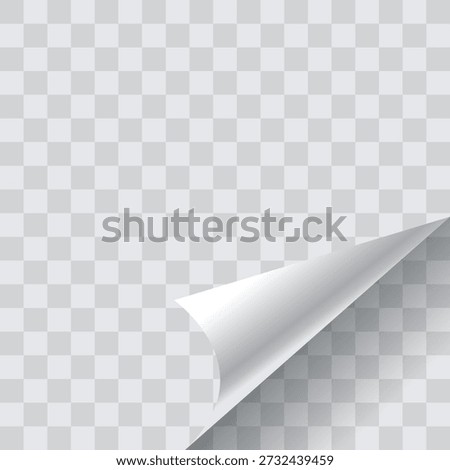 Paper curled mockup design on transparent
