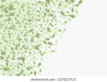 Paper Currency Vector Transparent Background. Fly Confetti Cover. Paper Green Money Brochure. Fall Jackpot Abundance Banner.