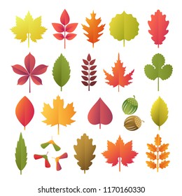 Paper cut autumn leaves set. Fall leaves colorful paper collection. Vector illustration