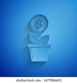 Paper cut Bitcoin plant in the pot icon isolated on blue background. Business investment growth. Blockchain technology, cryptocurrency mining. Paper art style. Vector Illustration