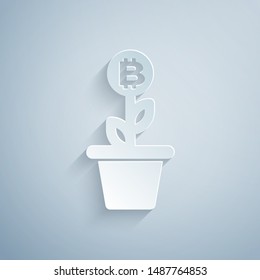 Paper cut Bitcoin plant in the pot icon isolated on grey background. Business investment growth concept. Blockchain technology, cryptocurrency mining. Paper art style. Vector Illustration