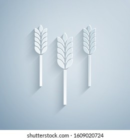 Paper cut Cereals set with rice, wheat, corn, oats, rye, barley icon isolated on grey background. Ears of wheat bread symbols. Paper art style. Vector Illustration