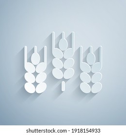 Paper cut Cereals set with rice, wheat, corn, oats, rye, barley icon isolated on grey background. Ears of wheat bread symbols. Paper art style. Vector.