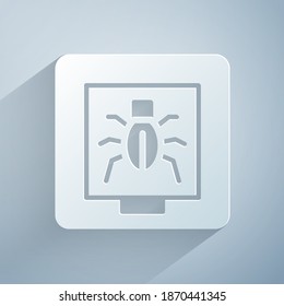 Paper cut Insects in a frame icon isolated on grey background. Herbarium. Paper art style. Vector
