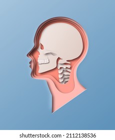 Paper cut man head illustration on isolated background. Human skull x-ray side view profile with 3D papercut layer for educational anatomy model, science or nervous system concept. 