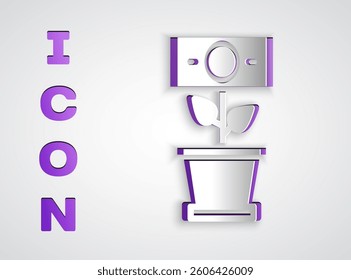 Paper cut Money plant in the pot icon isolated on grey background. Business investment growth concept. Money savings and investment. Paper art style. Vector