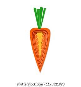 Paper cut orange carrot. Vector paper cut design in the form of half slice ripe carrot for design of food packaging. Vector illustration. Paper applique art style vegetable. Origami concept