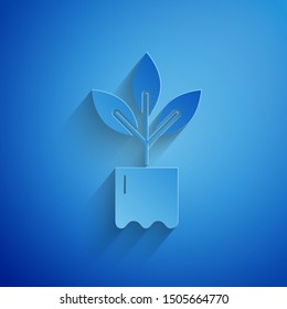 Paper cut Plant in bottle icon isolated on blue background. Seed and seedling. Leaves sign. Leaf nature. Paper art style. Vector Illustration