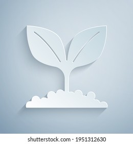 Paper cut Plant icon isolated on grey background. Seed and seedling. Leaves sign. Leaf nature. Paper art style. Vector