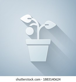 Paper cut Plant in pot icon isolated on grey background. Plant growing in a pot. Potted plant sign. Paper art style. Vector