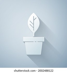 Paper cut Plant in pot icon isolated on grey background. Plant growing in a pot. Potted plant sign. Paper art style. Vector