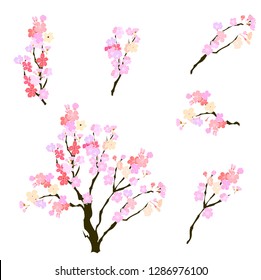 Paper cut Plum flower and Sakura flower vector set, Beautiful line art Peach blossom isolate on white background