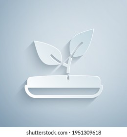 Paper cut Sprout icon isolated on grey background. Seed and seedling. Leaves sign. Leaf nature. Paper art style. Vector