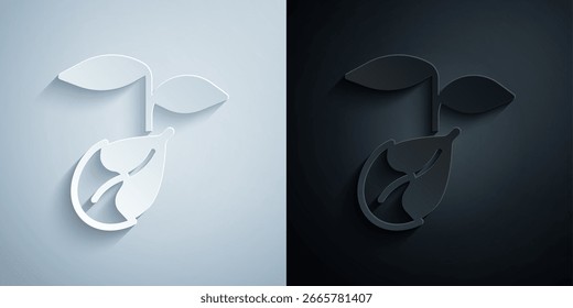 Papierausschnitt Sprout-Symbol einzeln auf grauem und schwarzem Hintergrund. Saatgut und Sämling. Schild verlässt. Die Natur des Blattes. Papierkunststil. Vektorgrafik