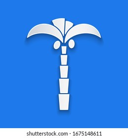 Paper cut Tropical palm tree icon isolated on blue background. Coconut palm tree. Paper art style. Vector Illustration