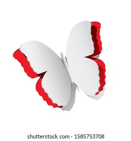 Paper cut vector butterfly  illustration