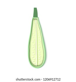 Paper cut zucchini. Origami squash half slice. Vegetable marrow isolated on white background. Vector card illustration. Harvest courgette organic ingredient in paper art style.