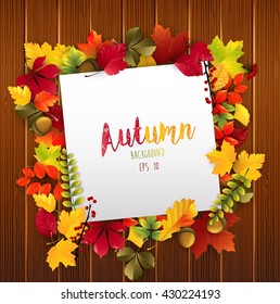 Paper design with autumn leaves and acorns on wood background.Vector