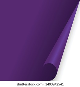 paper document page fold Purple