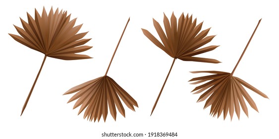 paper dried palm leafs isolated brown colour big 3d vector set. Bouquet compilation part. Floristic design Card invitation tropic wrapping Boho style retro symbol palm leaf decoration Trendy botanics