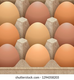 paper egg carton packaging designed with eggs vector illustration