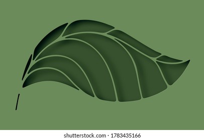 Paper elegant leaf hole layer cut abstract background. Ecology and environment conservation concept. Paper art style. Vector illustration.