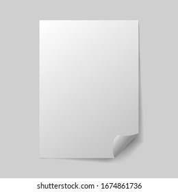 Paper empty corporate vector , blank illumination template design logo brochure Page curled blank paper effect illumination vector template logo