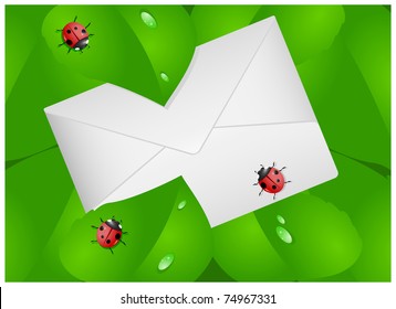 Paper envelope among green foliage with ladybirds and dew