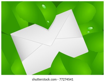 Paper envelope is located among the green leaves with drops of dew