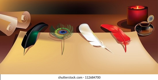 Paper and feathers. The vector illustration giving you choice among several different writing feathers lying on a blank paper.