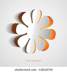 Paper flower on white background - vector