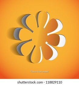 Paper flower on white background - vector