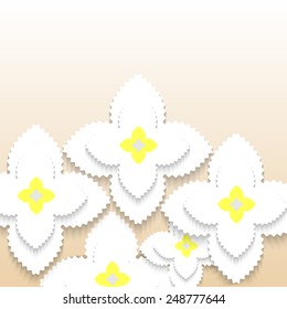 paper flowers for design