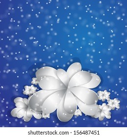 paper flowers with a shadow and snow