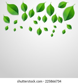 Paper Green leaves in white background.