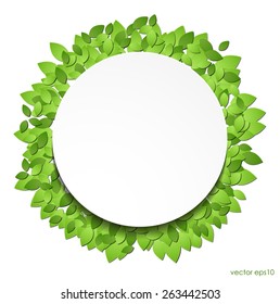 Paper green leaves with white circle sticker. vector eps10.