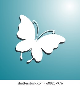 Paper Kite butterfly