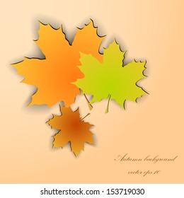 Paper leaves