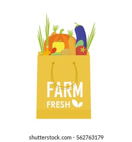 Paper package with fresh healthy produce. Organic products from the farm. Vector flat design illustration