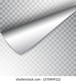Paper page with curled corner and shadow. Template for your design. Set. Vector illustration.