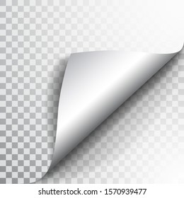 Paper page with curled corner and shadow. Template for your design. Set. Vector illustration.