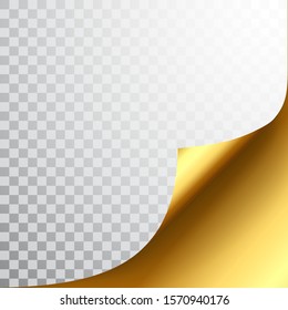 Paper page with curled corner and shadow. Template for your design. Set. Vector illustration.