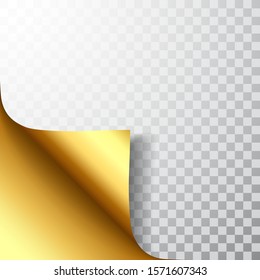 Paper page with curled corner and shadow. Template for your design. Set. Vector illustration.