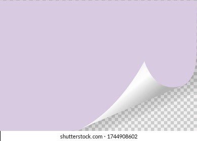 Paper page with curled corner and shadow. Template for your design. Set. Vector illustration