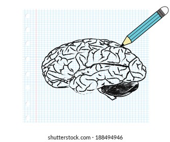 Paper with a pencil drawing of the brain
