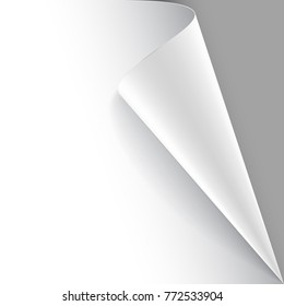 Paper poster hangs on the wall with a wrapped up corner. Vector illustration