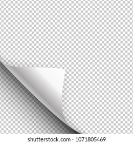 Paper poster hangs with a wrapped up corner. Curled corner with shadow on transparent background realistic vector illustration