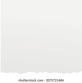 Paper Scrap Blank Sheet Torn On Stock Vector (Royalty Free) 2075721484 ...