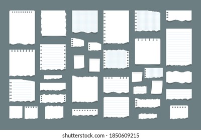 Paper scraps. Texture page, textured memo sheet or notebook shred. Blank note paper sheets. Ripped papers, torn page pieces and scrapbook note paper piece. Vector illustration, EPS 10.